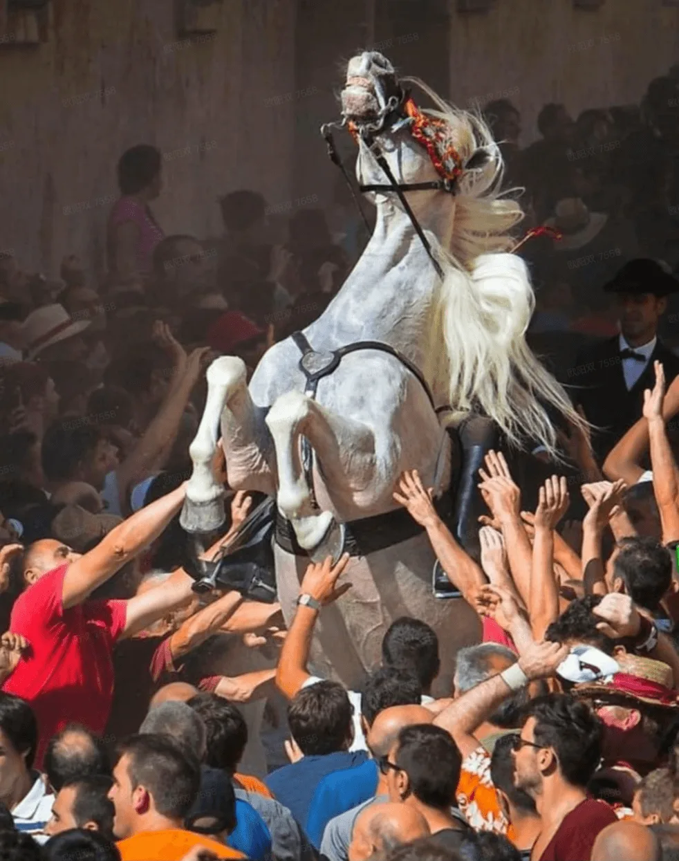 Style Remix Variations 1